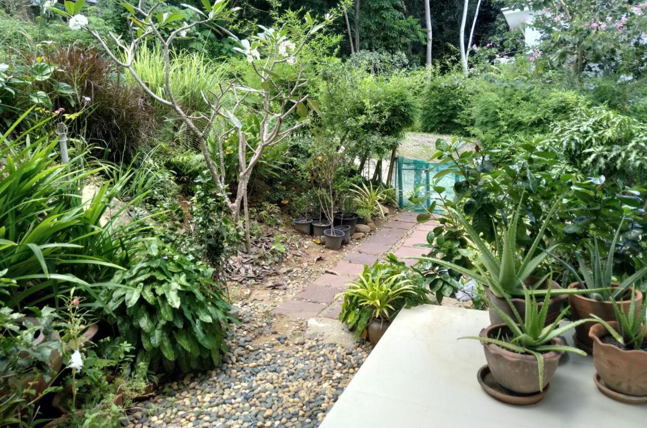 Perfect Sea View Mountain Villa Koh Samui Pantai Chaweng Luaran gambar