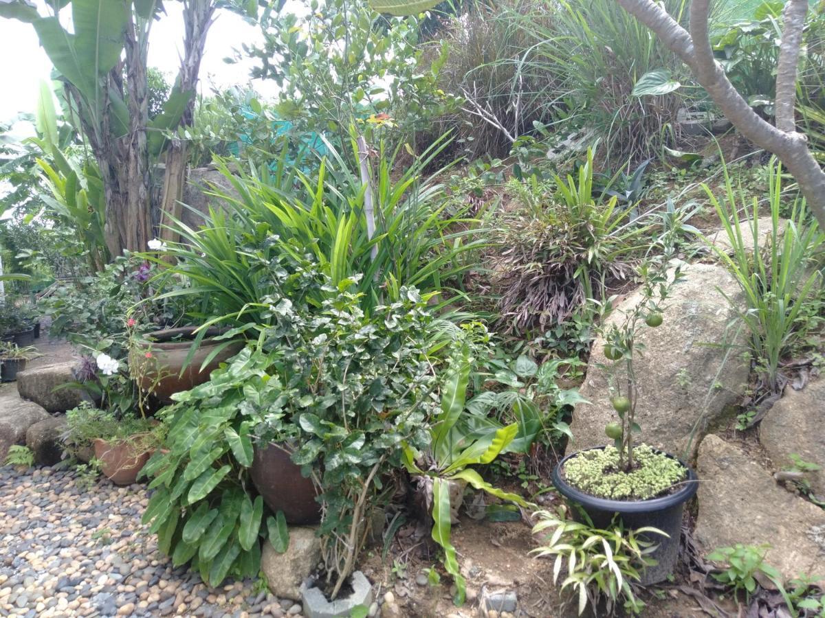 Perfect Sea View Mountain Villa Koh Samui Pantai Chaweng Luaran gambar
