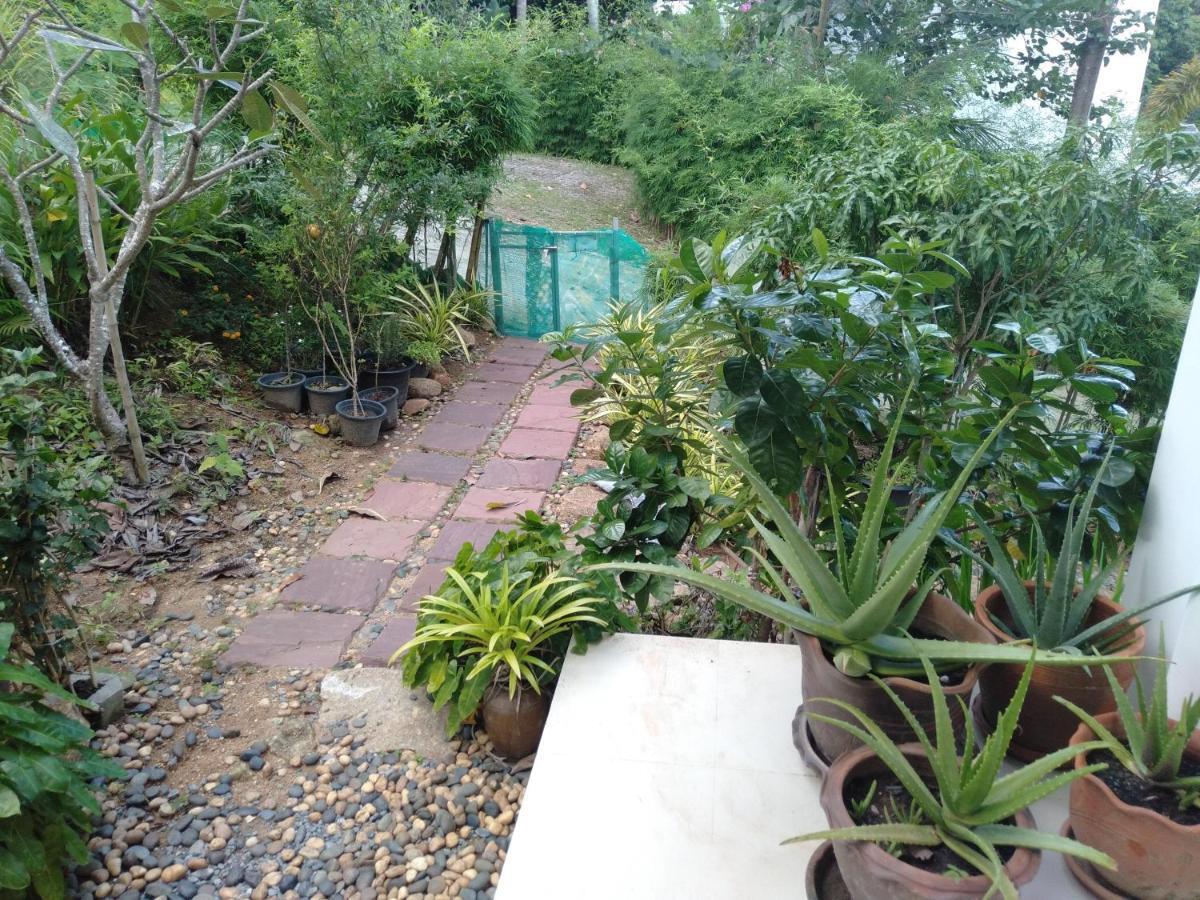 Perfect Sea View Mountain Villa Koh Samui Pantai Chaweng Luaran gambar
